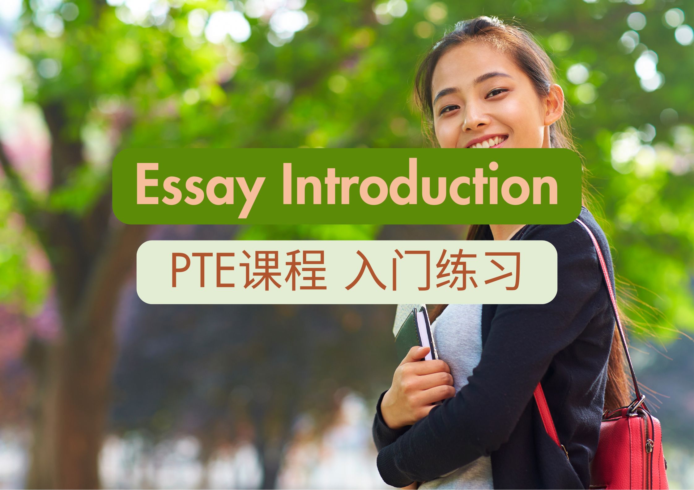 Essay Intro